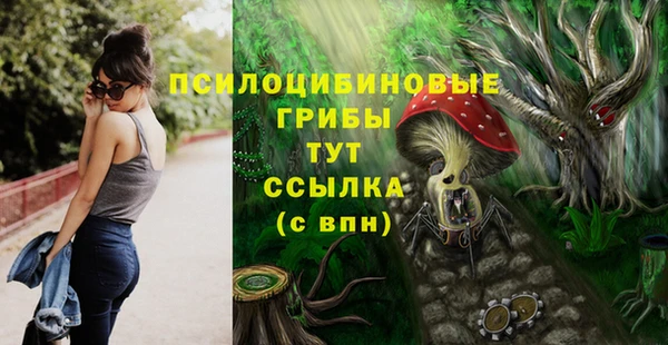 МДПВ Алексин