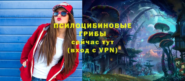 МДПВ Алексин