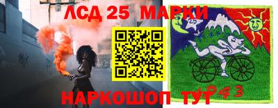 spice Свободный