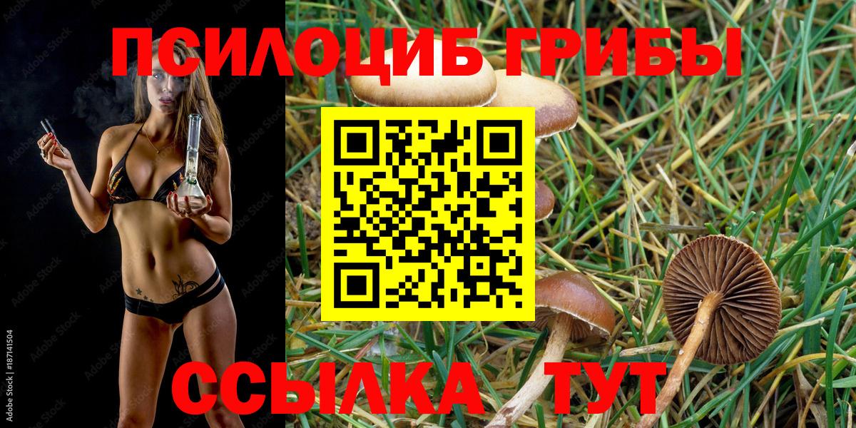 Усолье-Сибирское  Галлюциногенные грибы прущие грибы  Псилоцибиновые грибы Psilocybine cubensis  Вход с VPN 